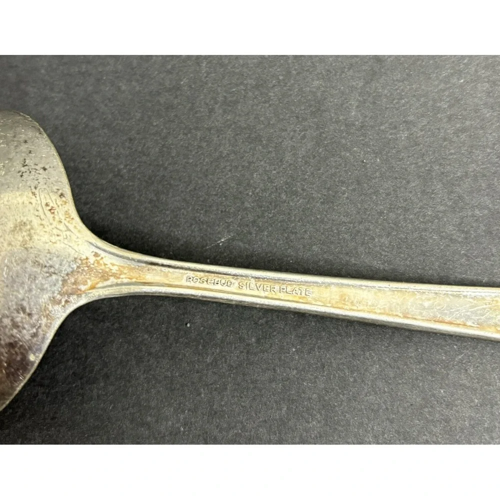 Rosebud Gailstyn Gravy Ladle 7